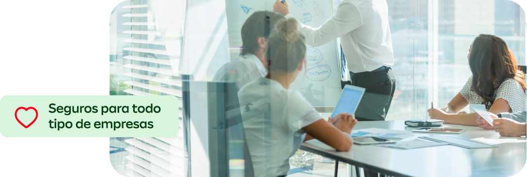 Seguros Empresas